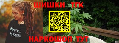 шишки Камышлов