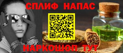 шишки Камышлов