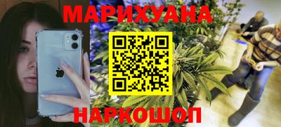 шишки Камышлов