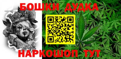 шишки Камышлов
