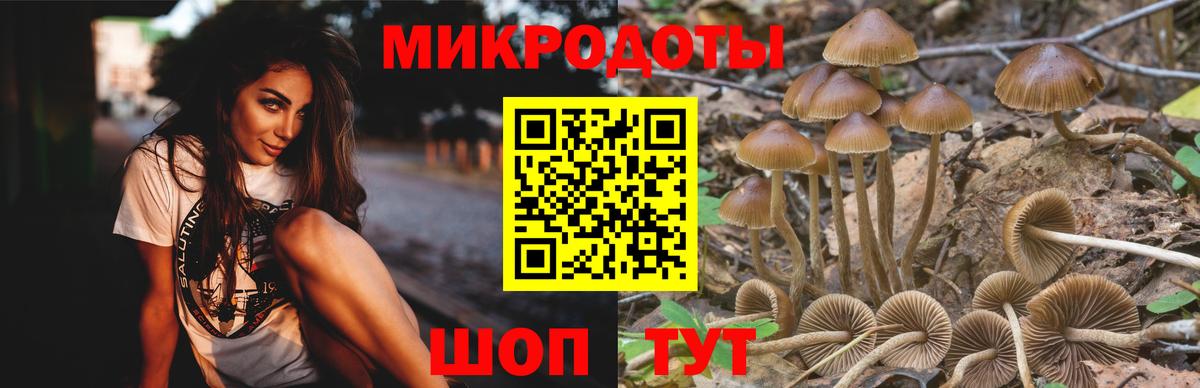 Галлюциногенные грибы MAGIC MUSHROOMS  Вход с VPN  Краснокаменск  Галлюциногенные грибы Psilocybine cubensis 